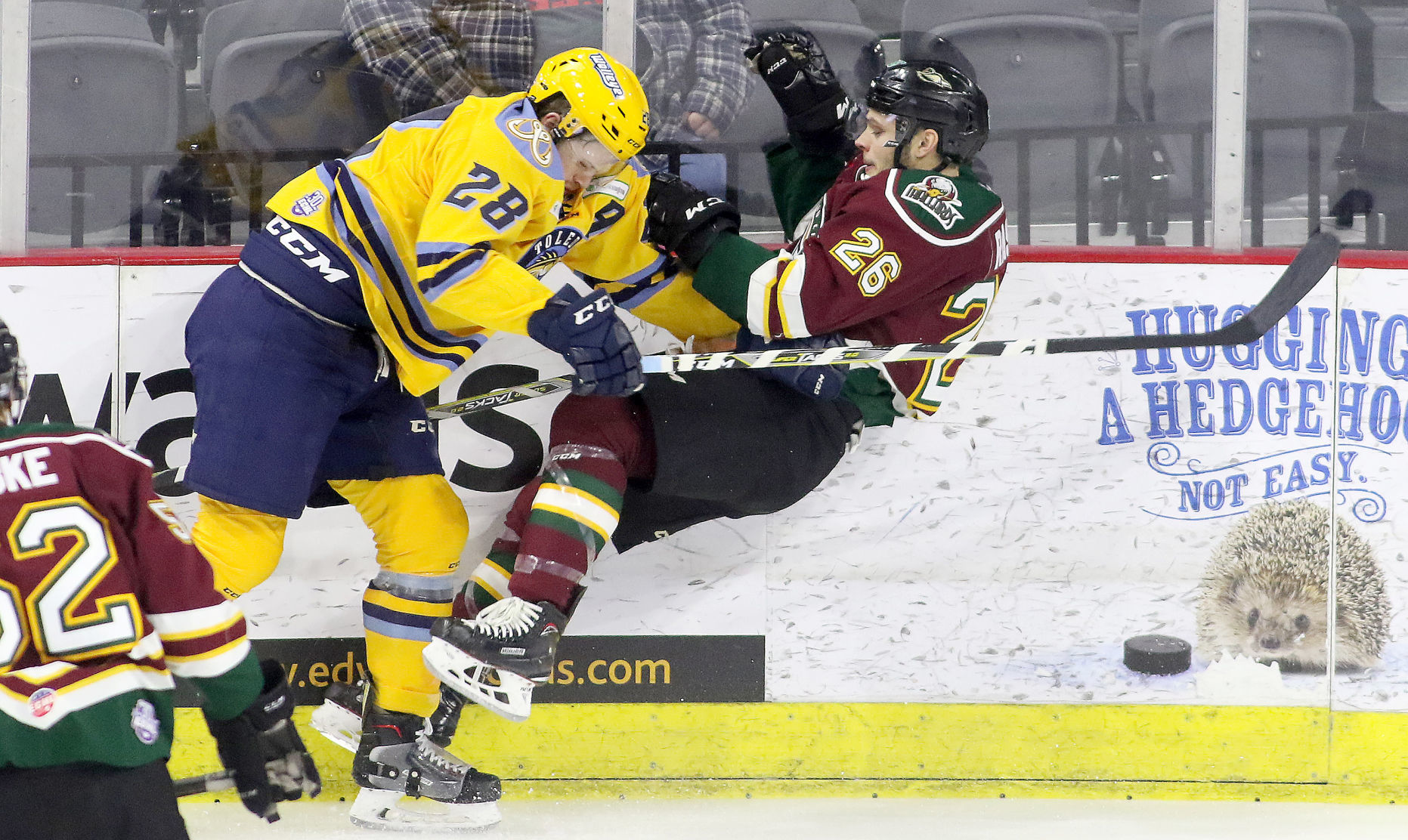 021818-Mallards-Toledo-012